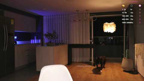 valeria_orozco @ chaturbate on 20240920