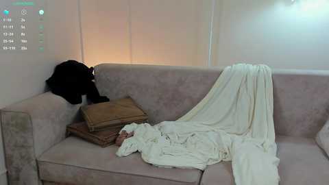 primroseeast @ chaturbate on 20240921