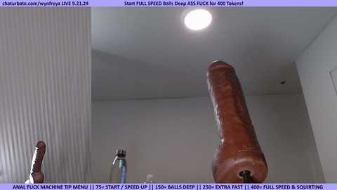 wynfreya @ chaturbate on 20240921