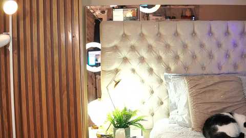 abie_owen @ chaturbate on 20240922