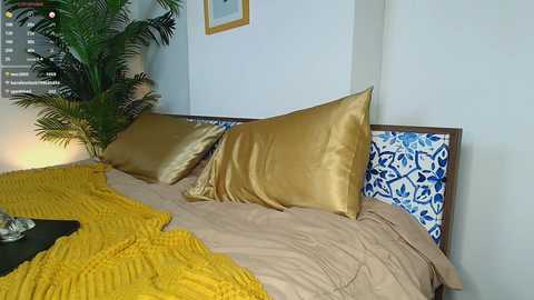 alice_n_wooderland @ chaturbate on 20240922