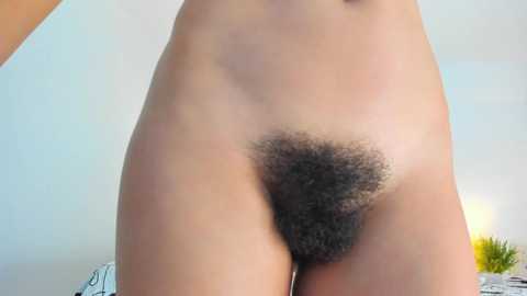 bush_woman @ chaturbate on 20240924