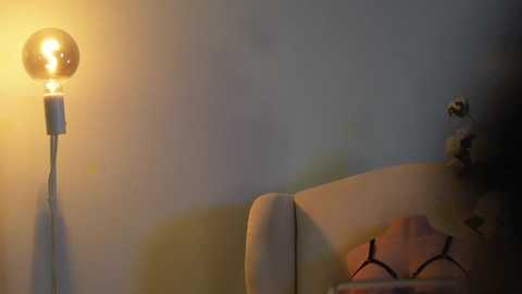 tommyjoyer @ chaturbate on 20240924