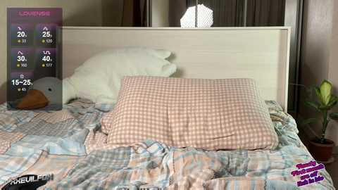 xxevilfox @ chaturbate on 20240925