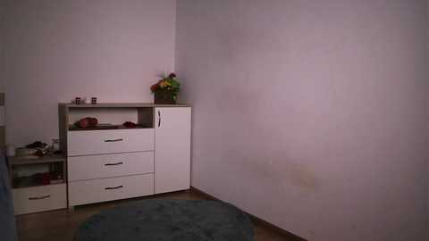 misslullu @ chaturbate on 20240926