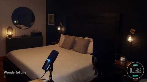 bareleeworking @ chaturbate on 20240927