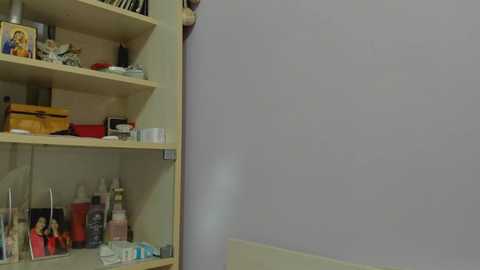 iveto69 @ chaturbate on 20240927