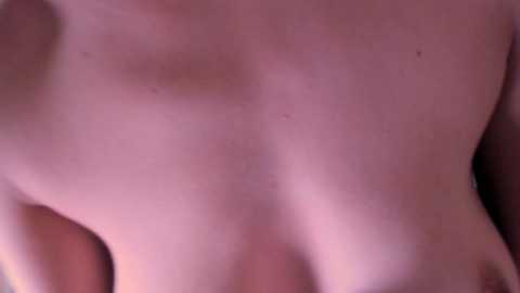 lauratanguy @ chaturbate on 20240927