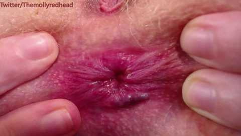 molly_redhead @ chaturbate on 20240927