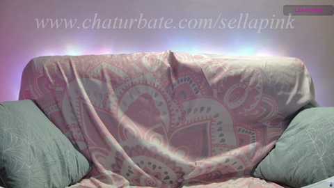 sellapink @ chaturbate on 20240927