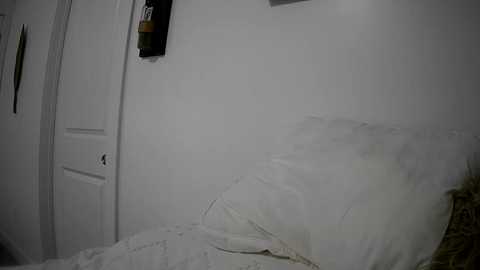 baristachicka28