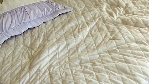 littlegreekflower @ chaturbate on 20240929