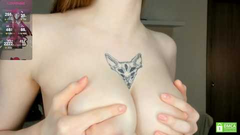 taitfollin @ chaturbate on 20240929