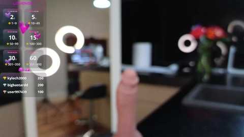 kitty_livecam