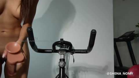 shena_nomy @ chaturbate on 20240930