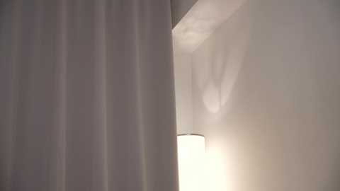 floret_joy @ chaturbate on 20241001