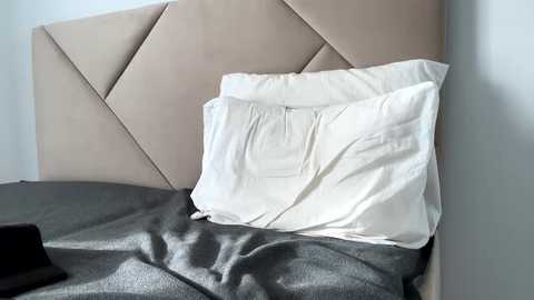 kiwigray @ chaturbate on 20241001