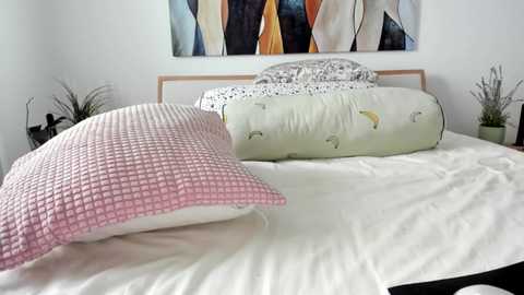 mis_eva @ chaturbate on 20241001