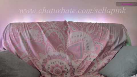 sellapink @ chaturbate on 20241001