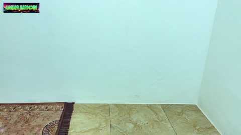 aasher_hardcore @ chaturbate on 20241002