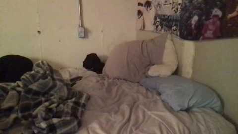 thetylerdurden0 @ chaturbate on 20241002