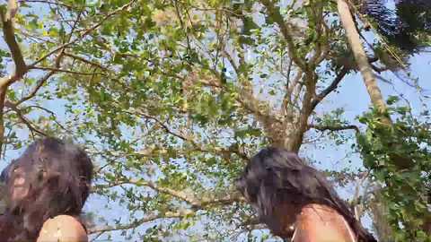 tropicalhotassxx @ chaturbate on 20241002