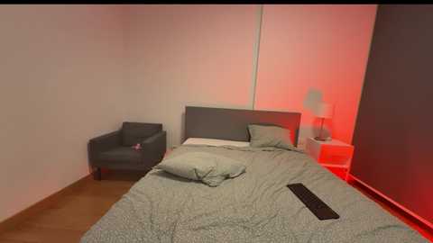 vixenp @ chaturbate on 20241002