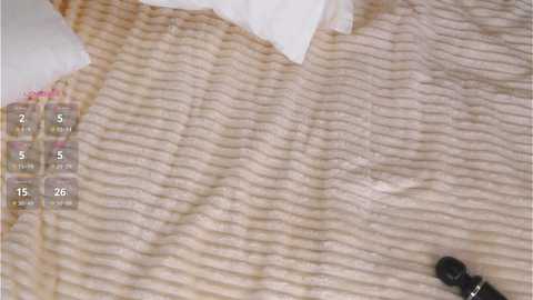 cold_bumble @ chaturbate on 20241003