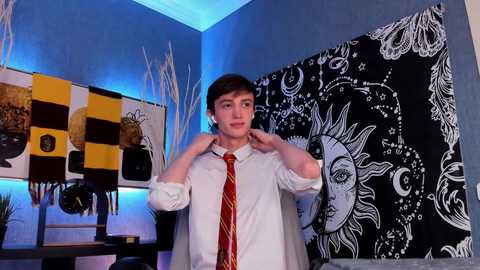 john_weasley @ chaturbate on 20241003