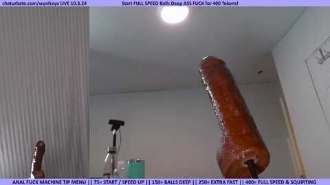 wynfreya @ chaturbate on 20241003