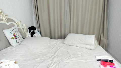 missblondecutie @ chaturbate on 20241004