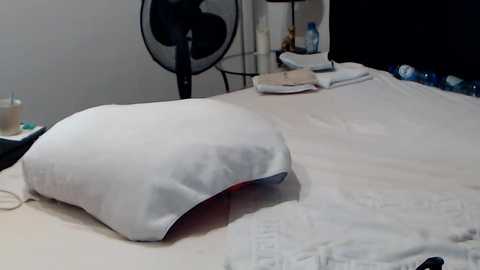 passiekoppel @ chaturbate on 20241004