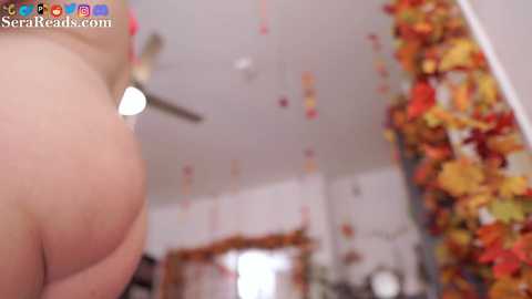 serareads @ chaturbate on 20241004