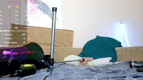 vers_gay @ chaturbate on 20241004