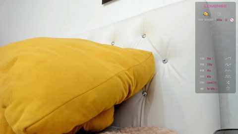 _timeless_paradox @ chaturbate on 20241005