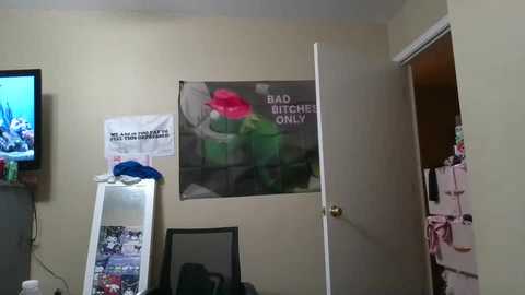 abbypaige @ chaturbate on 20241005