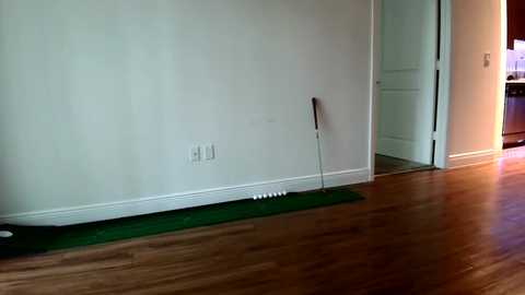 alexi793021 @ chaturbate on 20241005