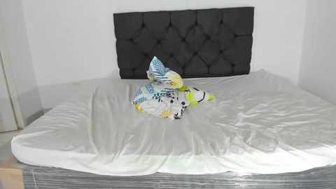 somethingsweets @ chaturbate on 20241005