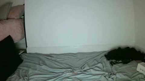 tammie0912 @ chaturbate on 20241005