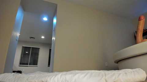 himexmarie @ chaturbate on 20241006