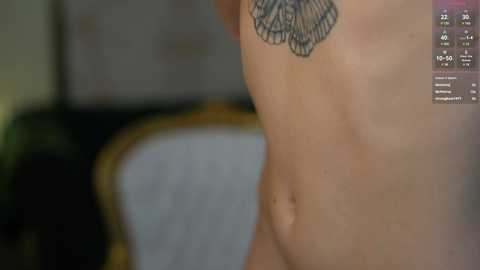 anabel054 @ chaturbate on 20241007