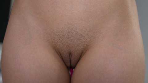 dovia @ chaturbate on 20241007