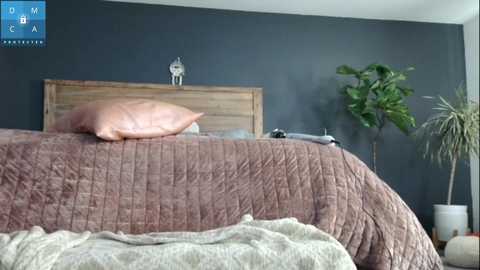 mssbb @ chaturbate on 20241007