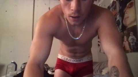 thetylerdurden0 @ chaturbate on 20241007