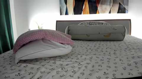 mis_eva @ chaturbate on 20241008