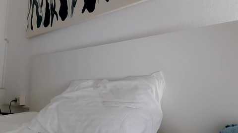 apollobest77 @ chaturbate on 20241009