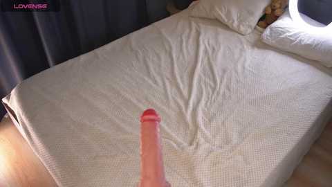 bellacle @ chaturbate on 20241009