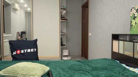 diora_vibe @ chaturbate on 20241009