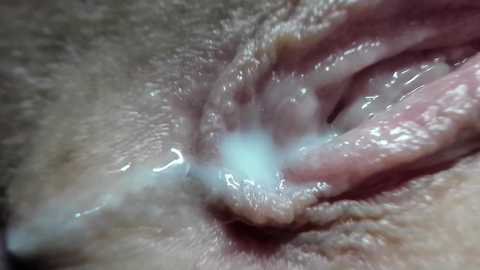 courtney_luv @ chaturbate on 20241010