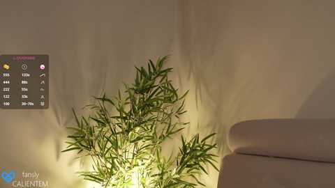 ms_seductive @ chaturbate on 20241010